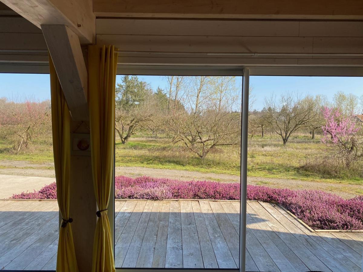 Le Gite De L'Etoile Du Jour Neung-sur-Beuvron Exterior foto